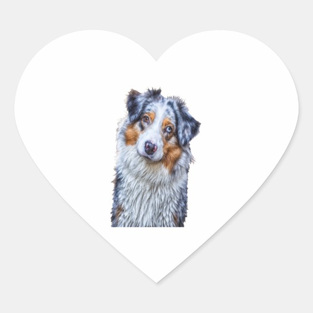 Australian Shepherd  Heart Sticker (Front)