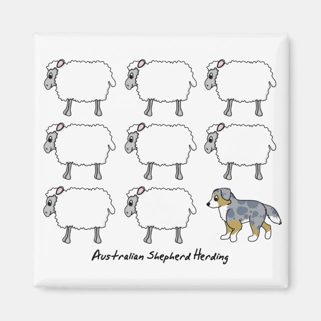 Australian Shepherd Herding Sheep Magnet (Front)