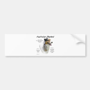 Australian Shepherd History, All about Aussies Bumper Sticker