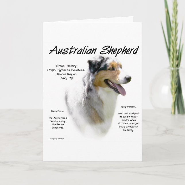 Australian Shepherd History, All about Aussies Holiday Card (Front)