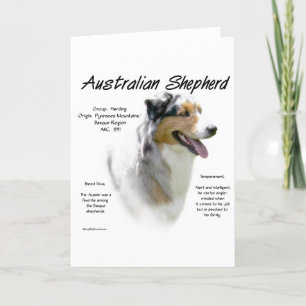 Australian Shepherd History, All about Aussies Holiday Card