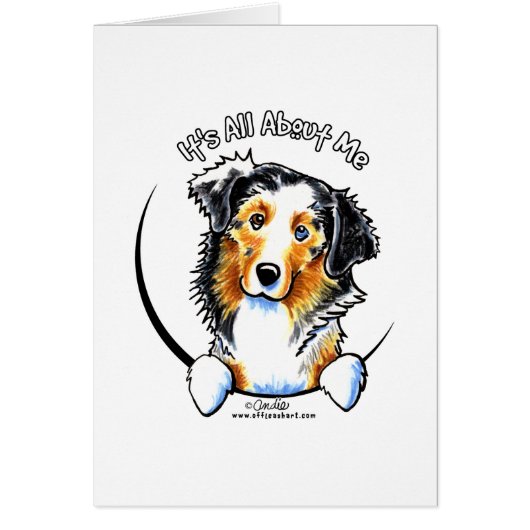 Australian Shepherd IAAM Cards (Front)