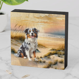 Australian Shepherd in a Beach Cove Wooden Box Sign