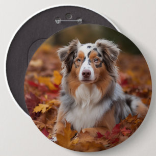Australian Shepherd in Autumn Leaves Fall Inspire Button