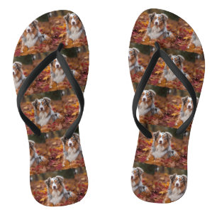 Australian Shepherd  in Autumn Leaves Fall Inspire Flip Flops
