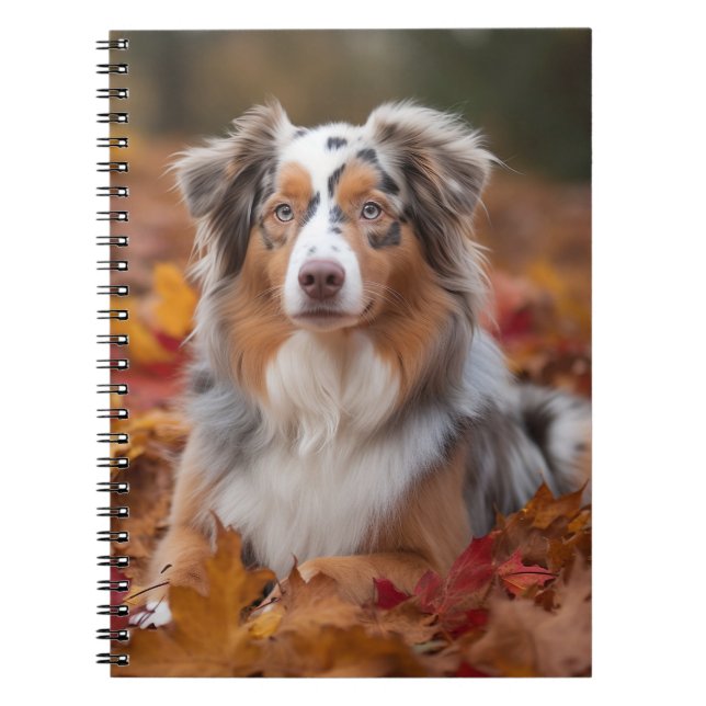 Australian Shepherd  in Autumn Leaves Fall Inspire Notebook (Front)