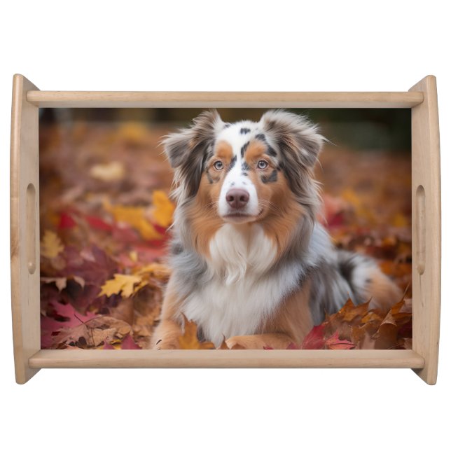 Australian Shepherd  in Autumn Leaves Fall Inspire Serving Tray (Front)