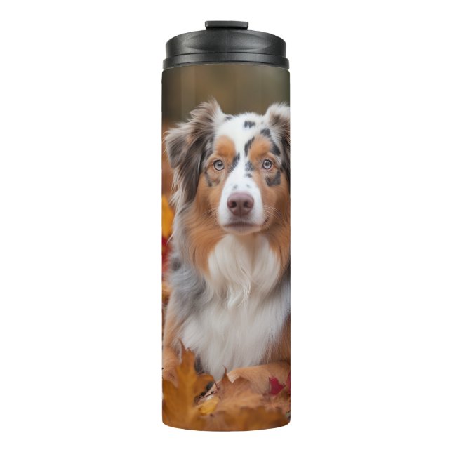 Australian Shepherd  in Autumn Leaves Fall Inspire Thermal Tumbler (Front)