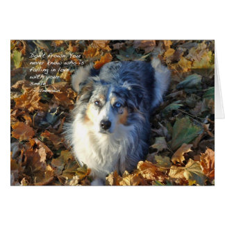 Australian Shepherd in Leaves Cards
