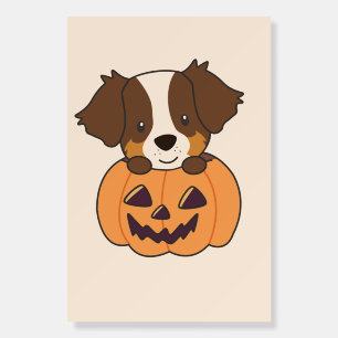 Australian Shepherd In Pumpkin Cute Happy Foam Boa Foam Board