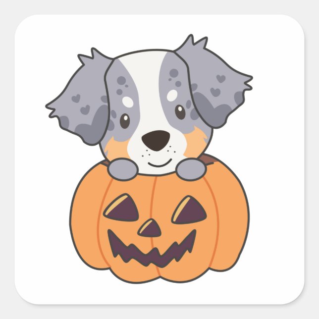 Australian Shepherd In Pumpkin Cute Happy Square S Square Sticker (Front)