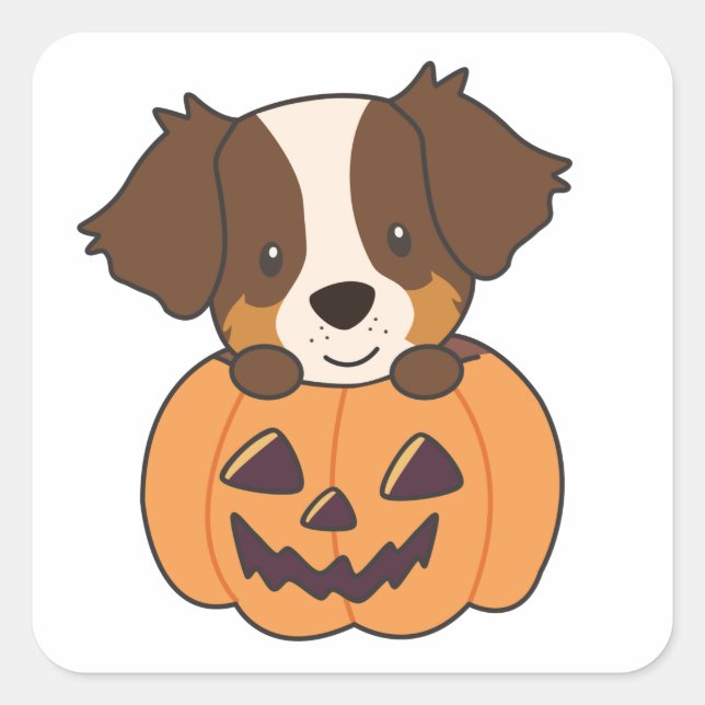 Australian Shepherd In Pumpkin Cute Happy Square Sticker (Front)