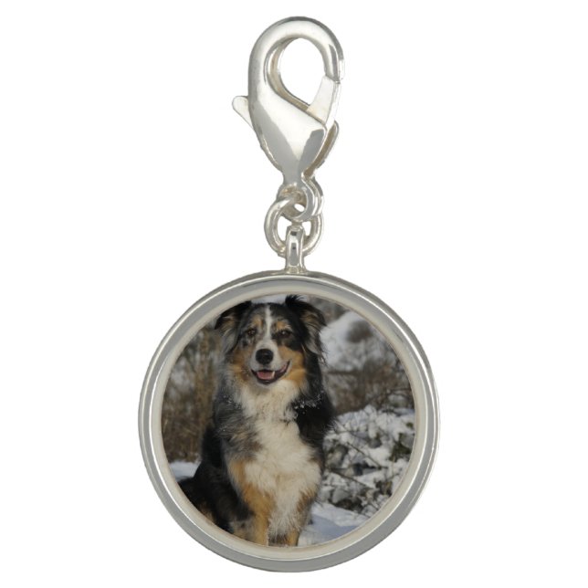 australian shepherd in snow 2.png charm (Front)