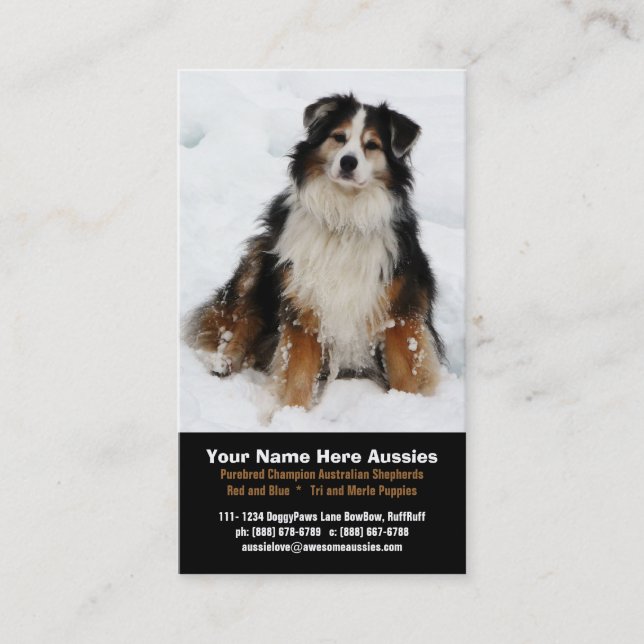 Australian Shepherd in Snow Breeder Business Cards (Front)