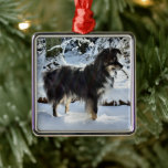 australian shepherd in snow full third metal ornament