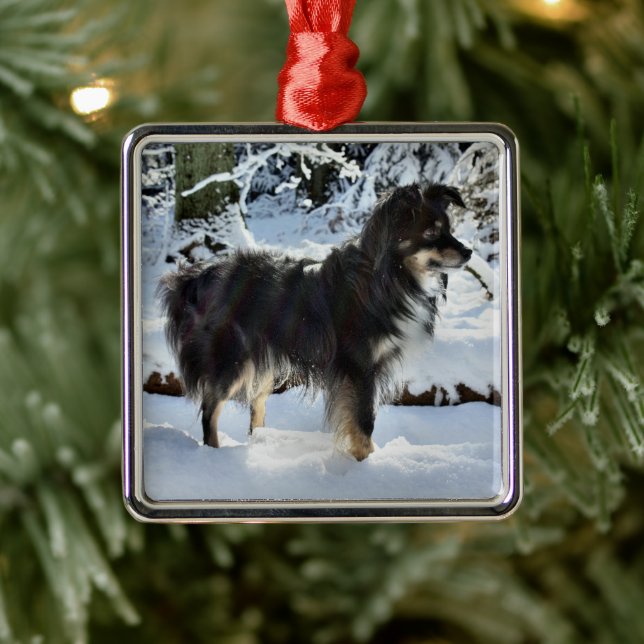 australian shepherd in snow full third metal ornament (Tree)