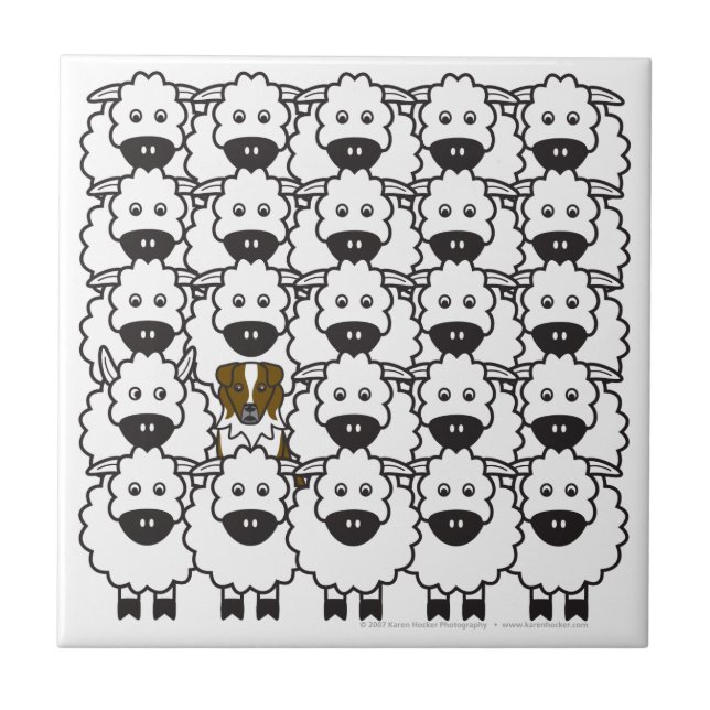 Australian Shepherd in the Sheep Tile (Front)