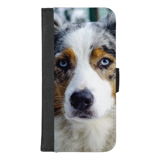 Australian Shepherd iPhone Wallet Case (Front)