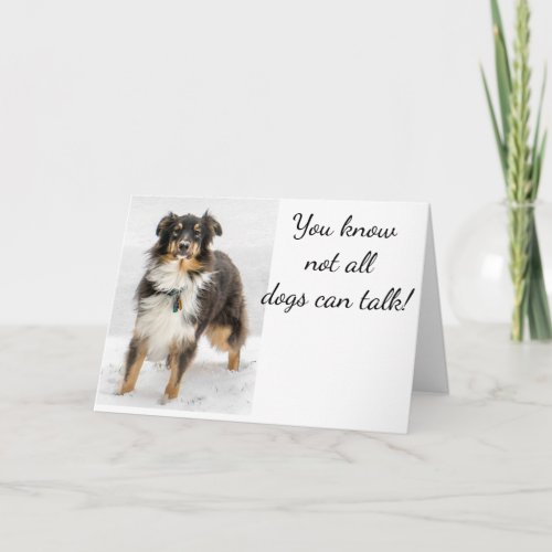 AUSTRALIAN SHEPHERD IS SENDING U A BIRTHDAY CARD