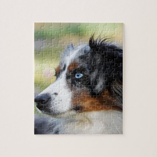 australianshepherd jigsaw puzzle