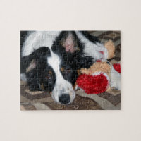 Australian Shepherd Jigsaw Puzzle