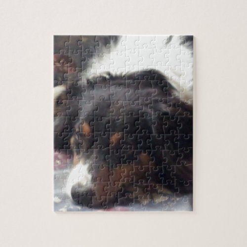 Australian Shepherd Jigsaw Puzzle