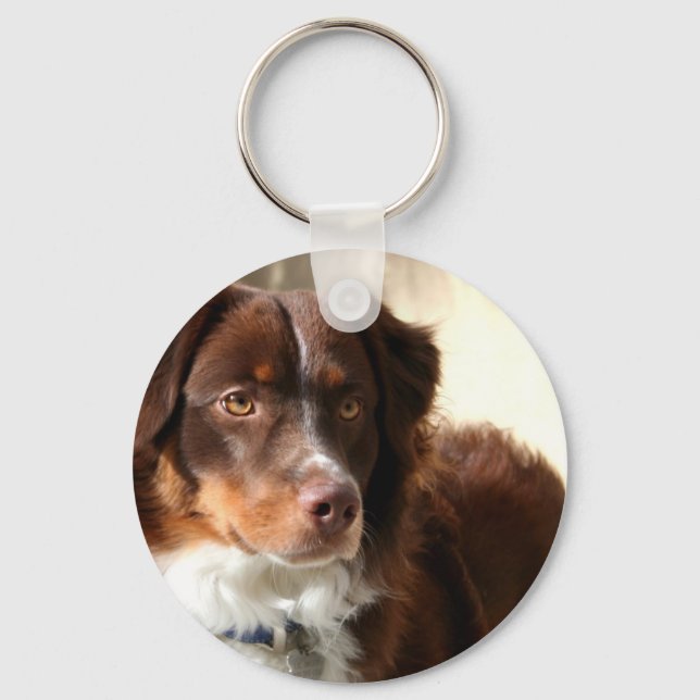 Australian Shepherd keychain (Front)