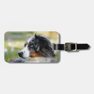 australian-shepherd luggage tag