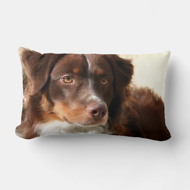 Australian Shepherd Lumbar Pillow (Front)
