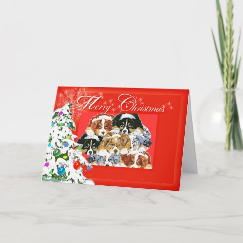 Australian Shepherd Merry Christmas Holiday Card