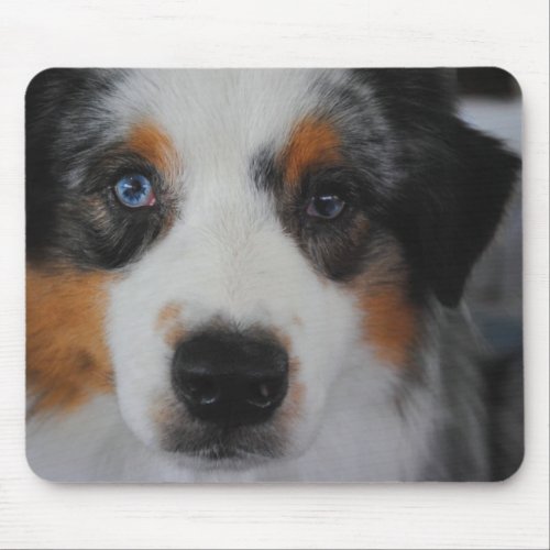 Australian Shepherd Mouse Pad