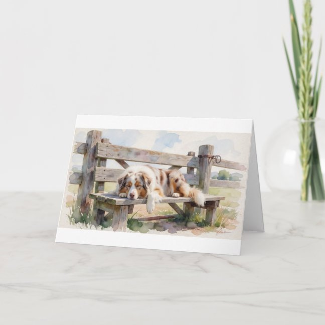Australian Shepherd Napping On The Ranch Gate Benc Card