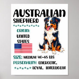 Australian Shepherd Origin Funny Aussie Dog Lover  Poster