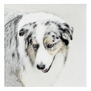 Australian Shepherd Painting - Original Dog Art