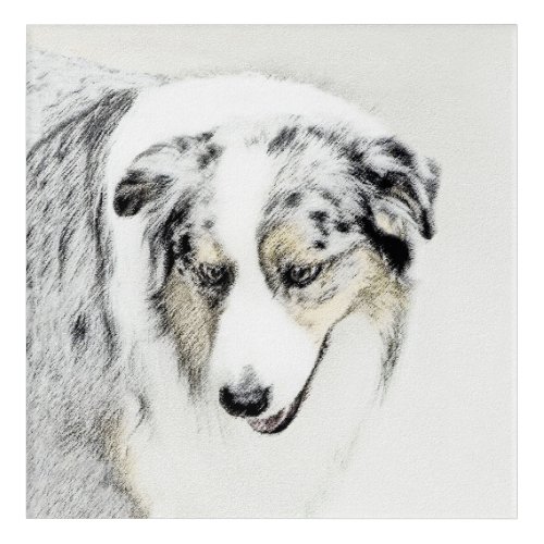 Australian Shepherd Painting _ Original Dog Art