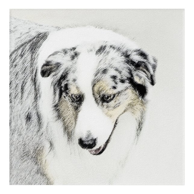 Australian Shepherd Painting - Original Dog Art (Front)