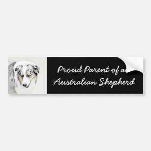 Australian Shepherd Painting - Original Dog Art Bumper Sticker