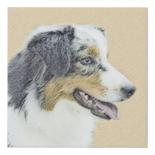 Australian Shepherd Painting - Original Dog Art Faux Canvas Print