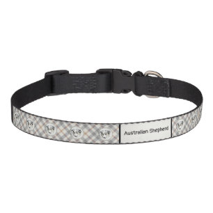 Australian Shepherd Painting - Original Dog Art Pet Collar