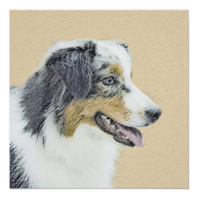 Australian Shepherd Painting - Original Dog Art Poster (Front)