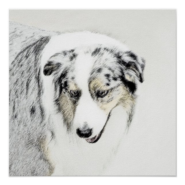 Australian Shepherd Painting - Original Dog Art Poster (Front)