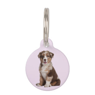 Australian Shepherd Pet ID Tag