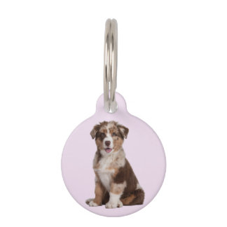 Australian Shepherd | Pet ID Tag