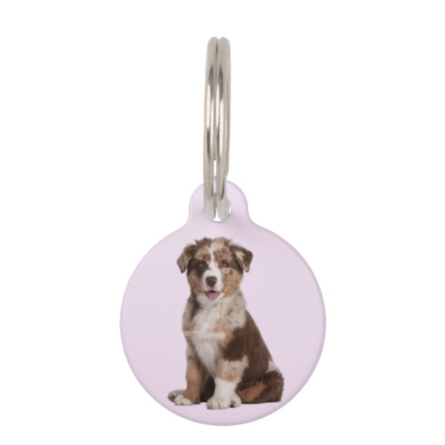 Australian Shepherd | Pet ID Tag (Front)