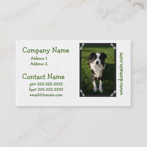 Customizable Australian Shepherd Photo Business Card