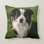 Australian Shepherd Photo Pillow