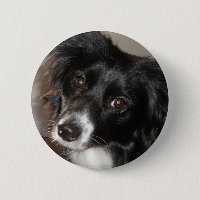 Australian Shepherd Pinback Button (Front)