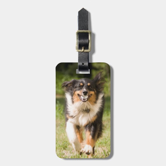 Australian Shepherd Playing With Ball Luggage Tag (Front Vertical)