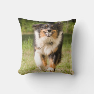Australian Shepherd Playing With Ball Throw Pillow