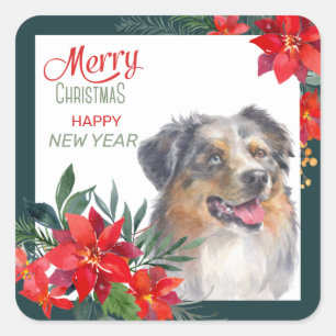 Australian Shepherd Poinsettia Bouquet Christmas Square Sticker